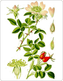 Pour Canéjan, Changeons Ensemble